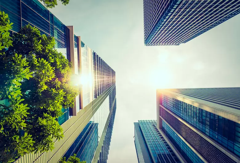 trees skyscraper